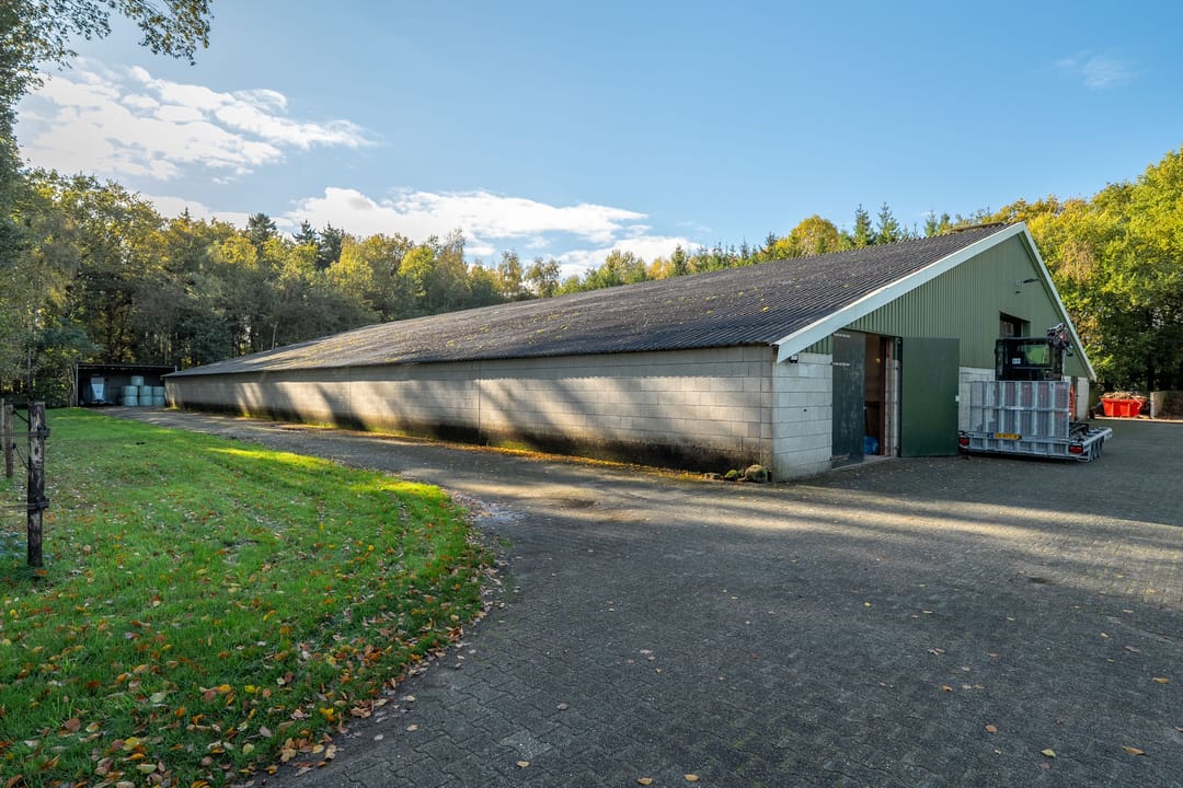 Foto 62 van Beilerweg 22