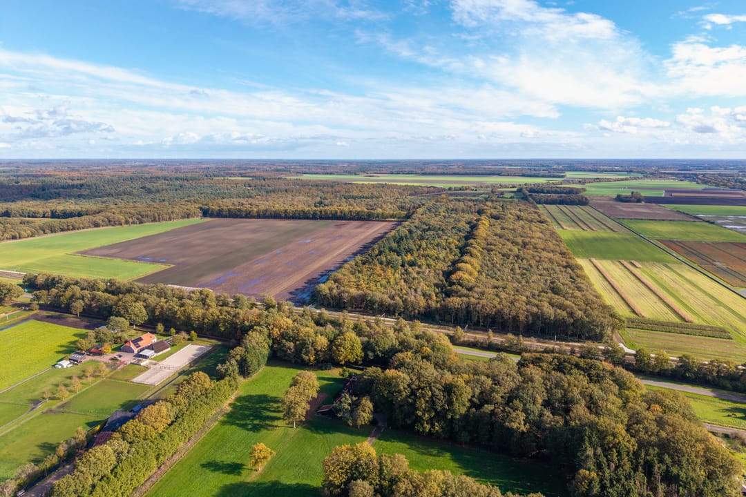 Foto 68 van Beilerweg 22