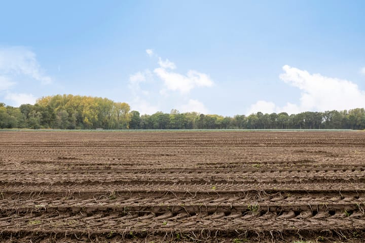 Photo 60 of Ellerveld 6