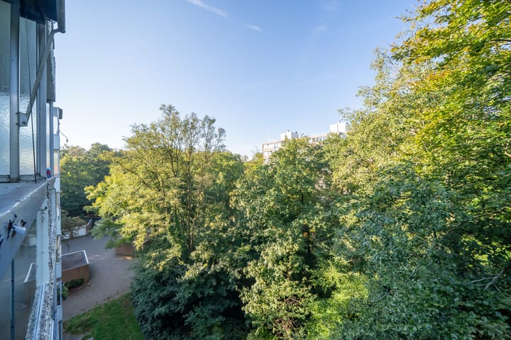 Foto 12 van De Zalmen 45