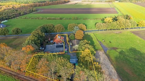 Rolderstraat thumbnail