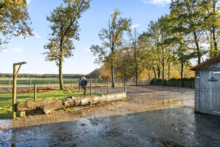 Photo 55 of Rolderstraat 59