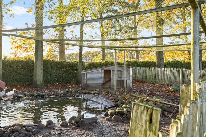 Photo 56 of Rolderstraat 59