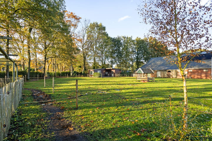 Photo 57 of Rolderstraat 59