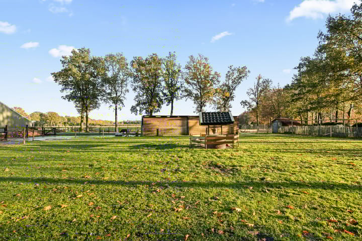 Photo 63 of Rolderstraat 59