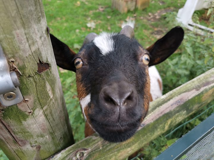 Photo 64 of Rolderstraat 59