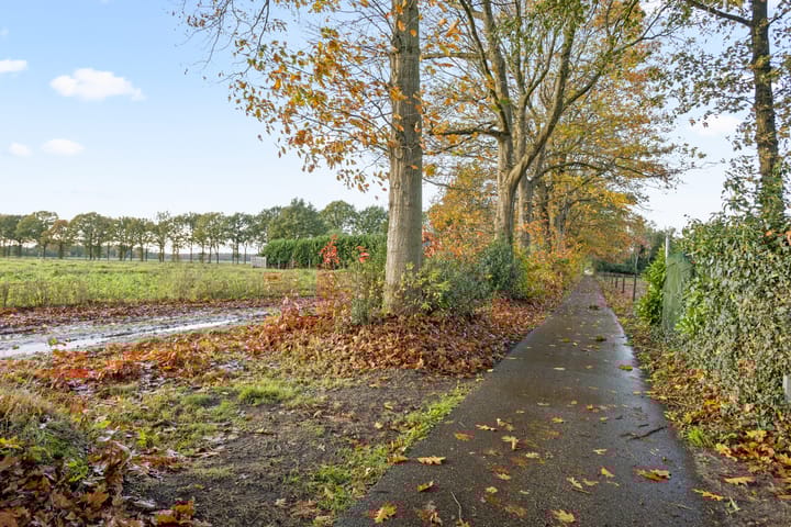 Photo 66 of Rolderstraat 59