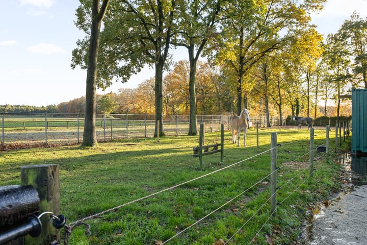 Photo 52 of Rolderstraat 59