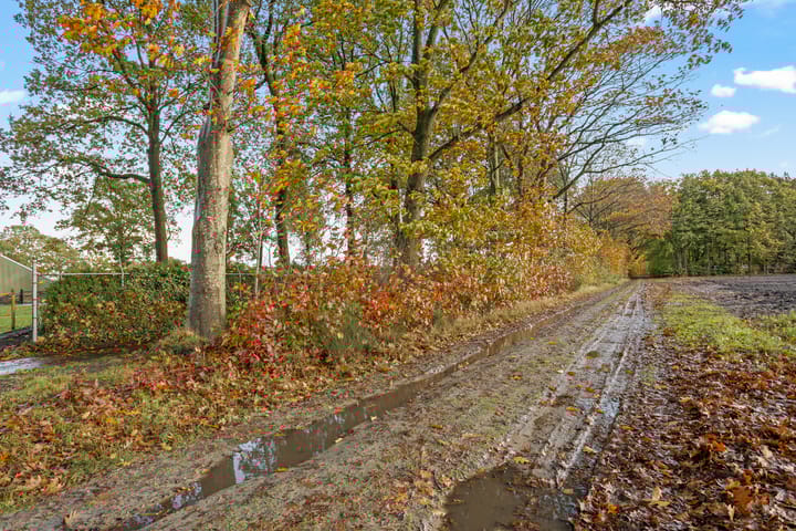 Photo 67 of Rolderstraat 59