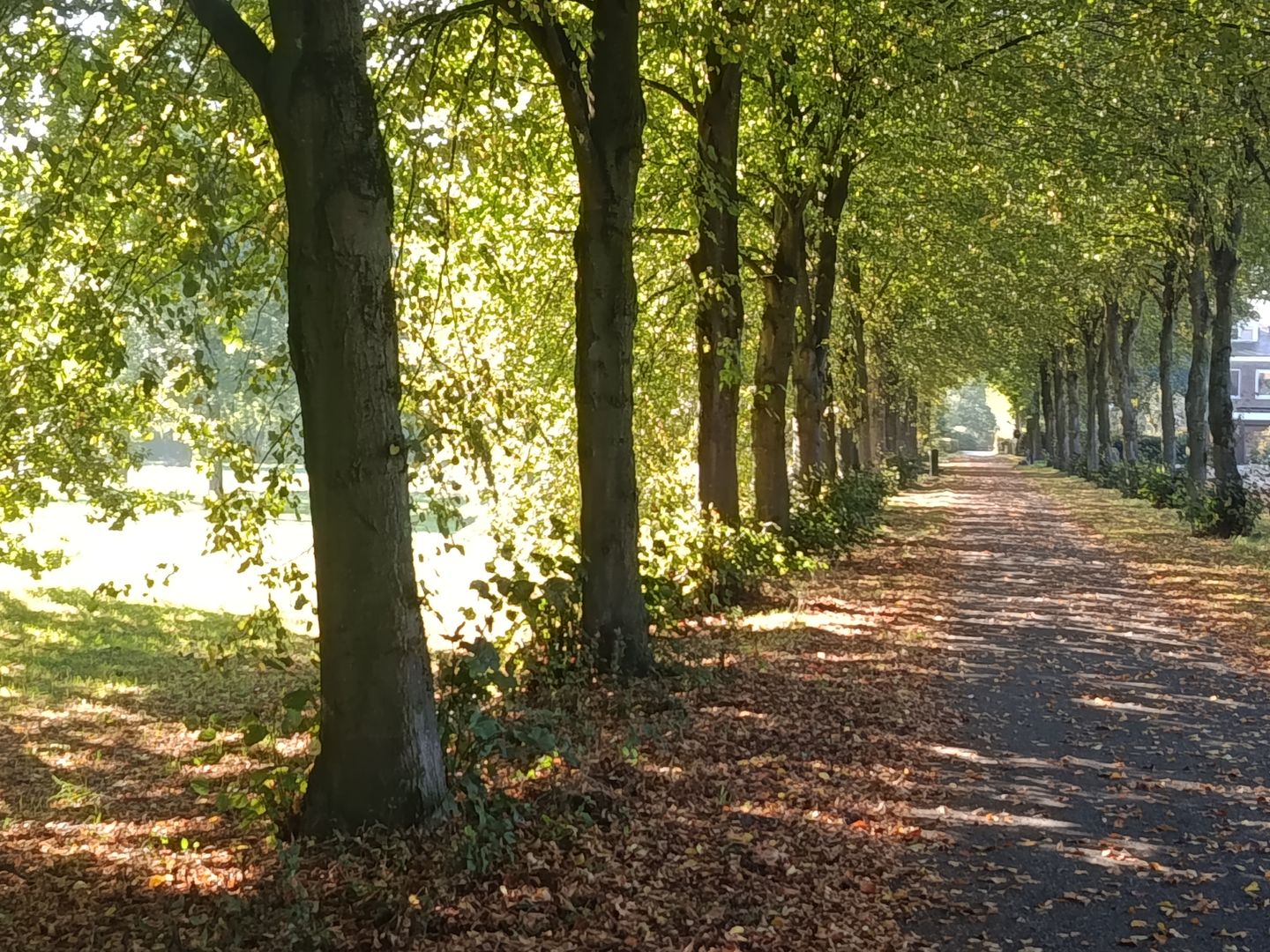 Photo 5 of Kloosterpark 1