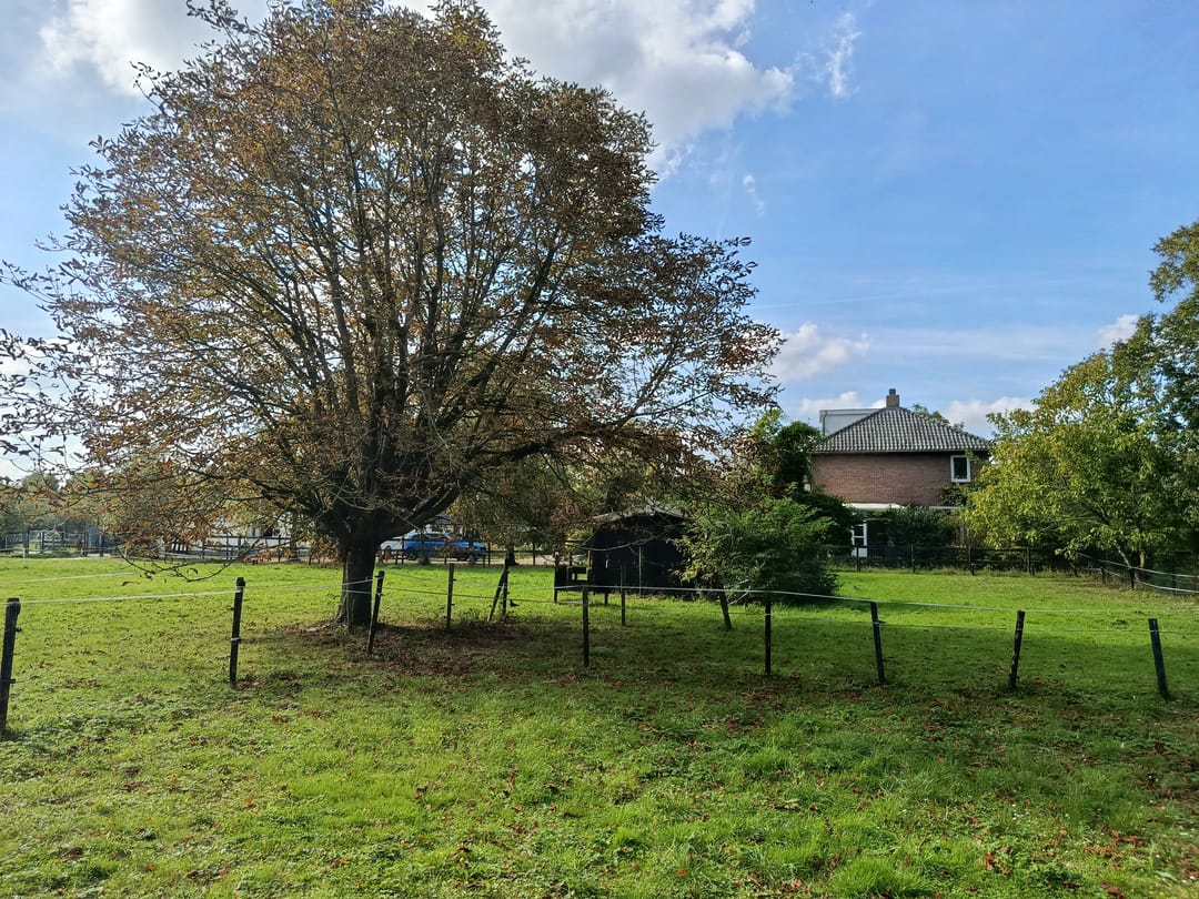 Photo 7 of Kloosterpark 1