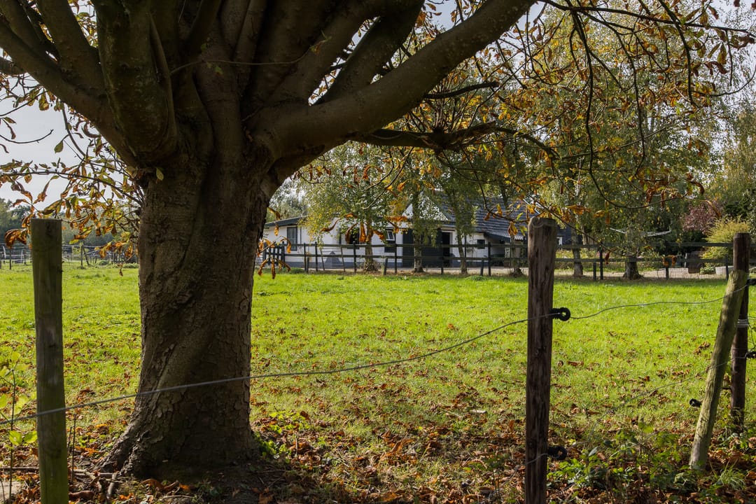 Photo 8 of Kloosterpark 1