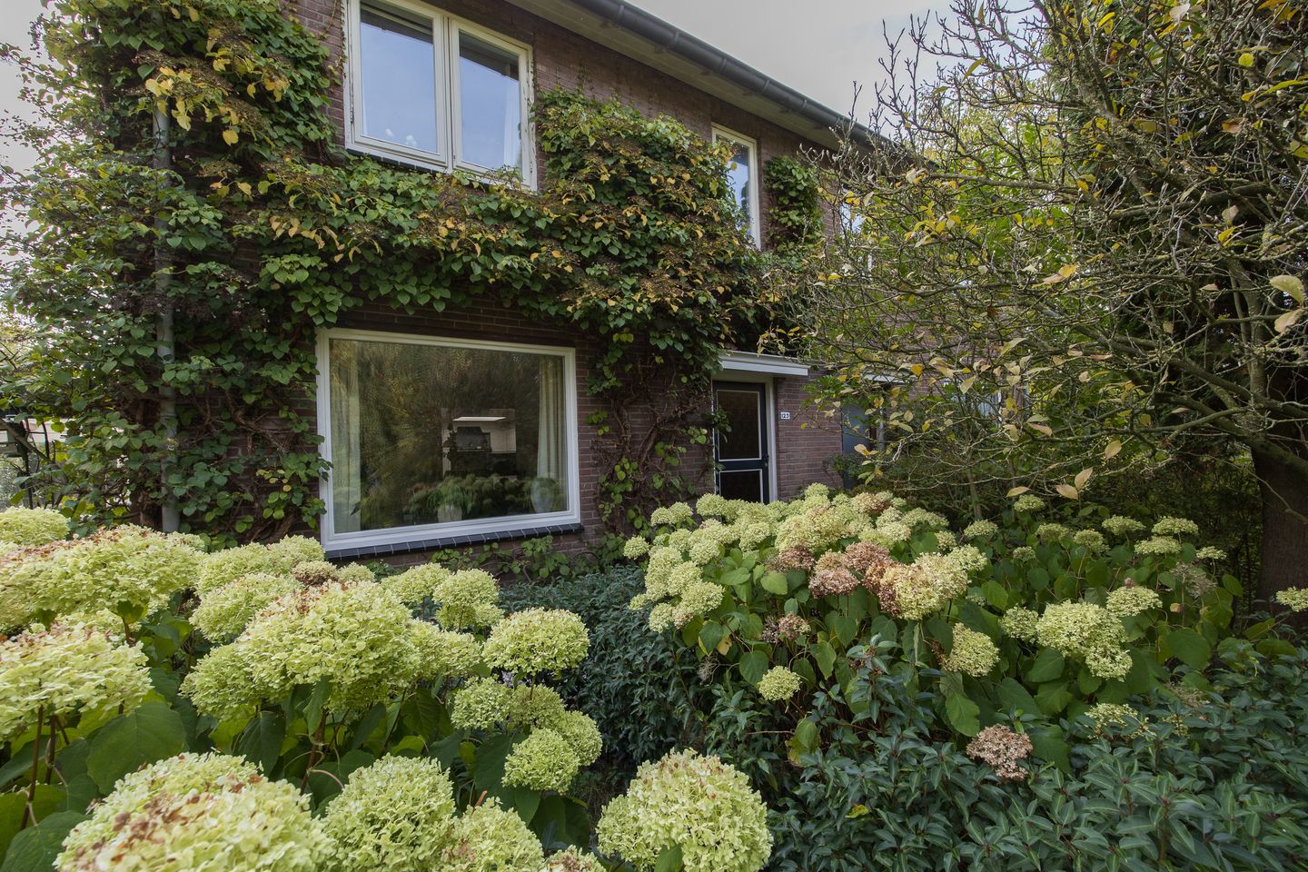 Photo 29 of Kloosterpark 1