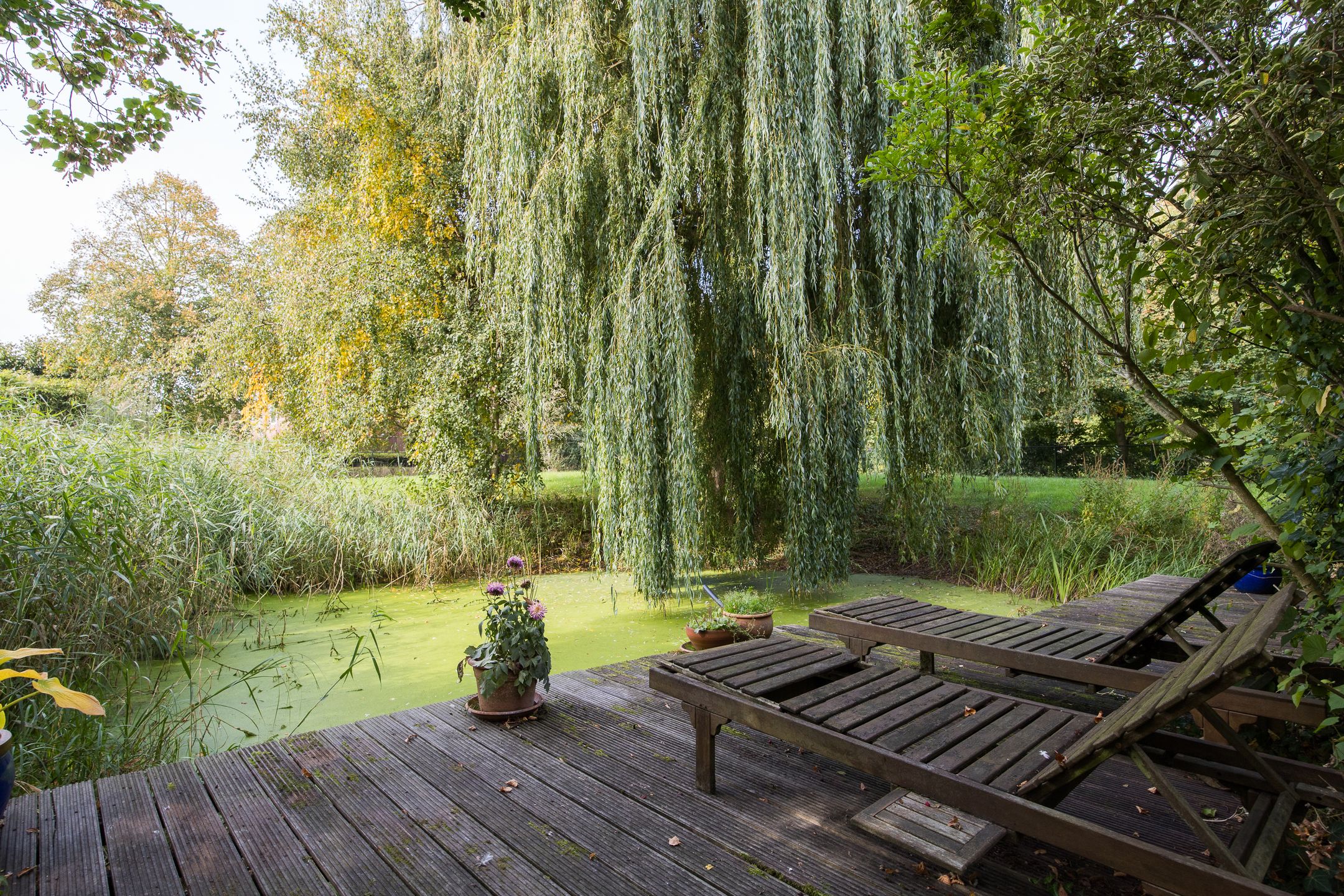 Photo 30 of Kloosterpark 1