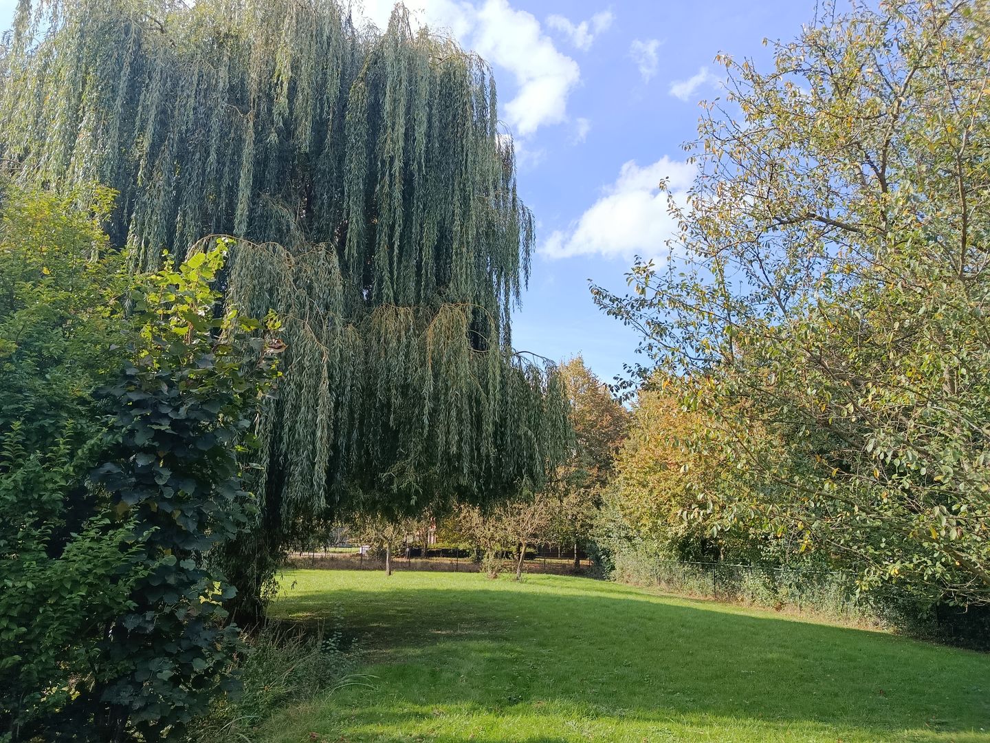 Photo 34 of Kloosterpark 1