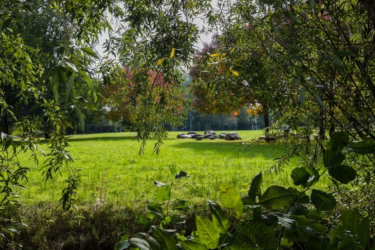 Photo 35 of Kloosterpark 1