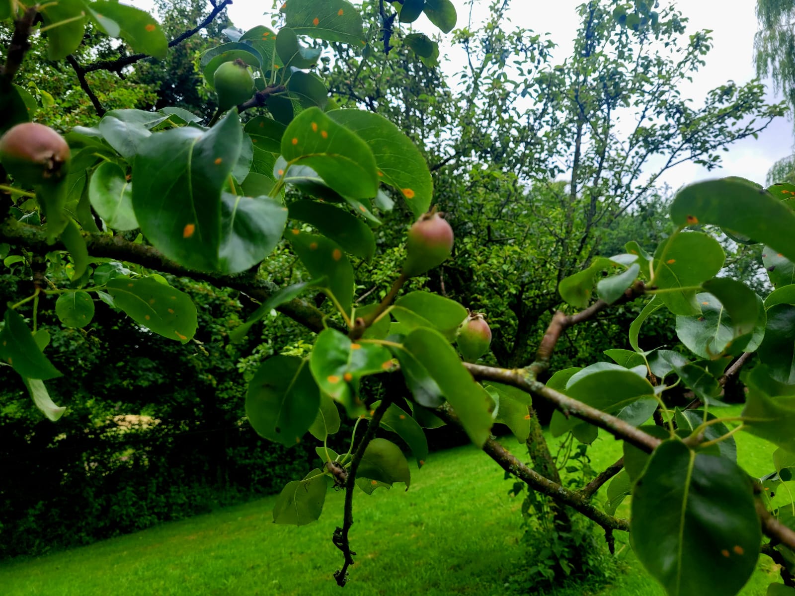 Photo 39 of Kloosterpark 1