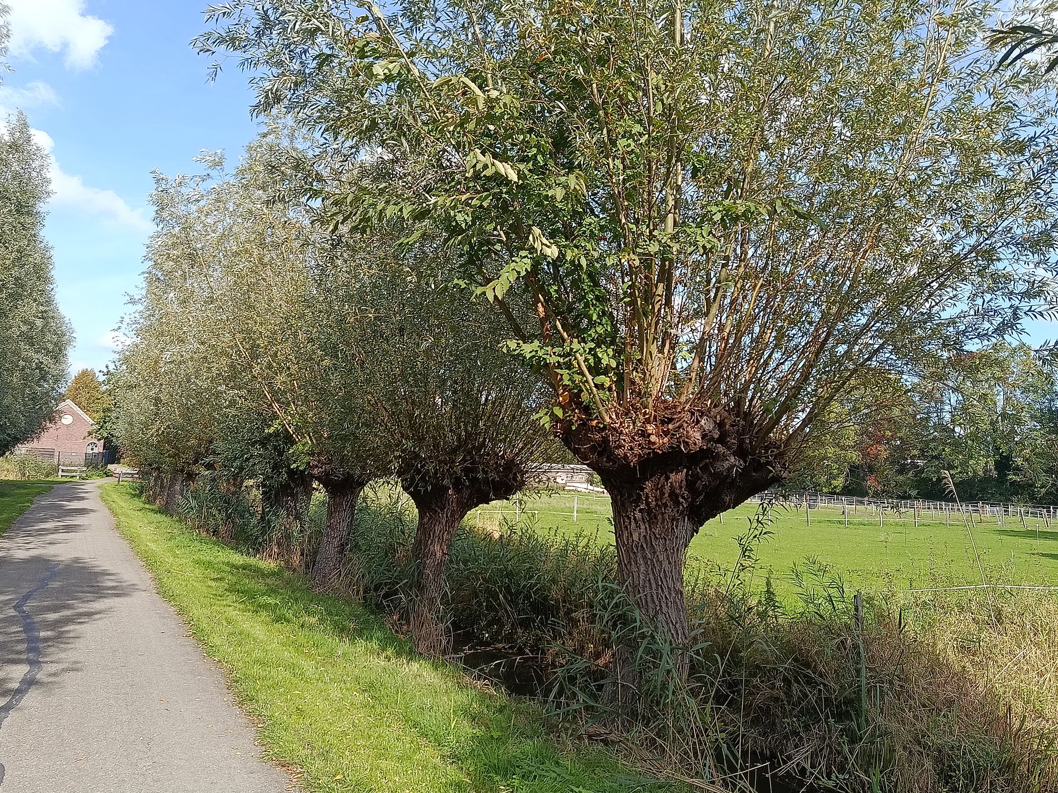 Photo 42 of Kloosterpark 1