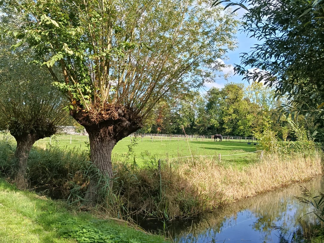 Photo 43 of Kloosterpark 1