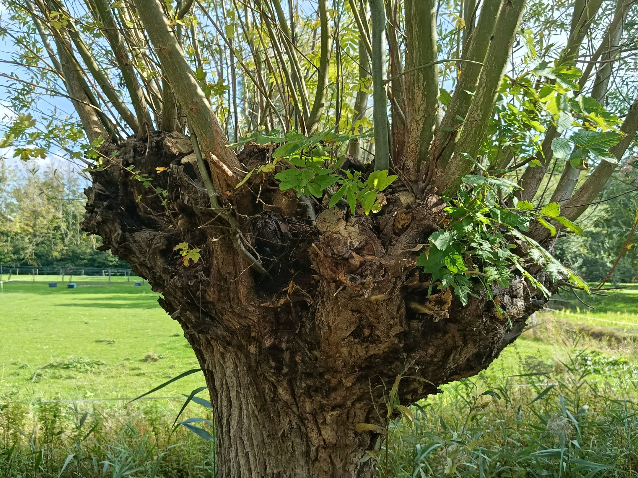 Photo 45 of Kloosterpark 1