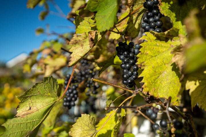 Foto 54 van Hoofdstraat 4