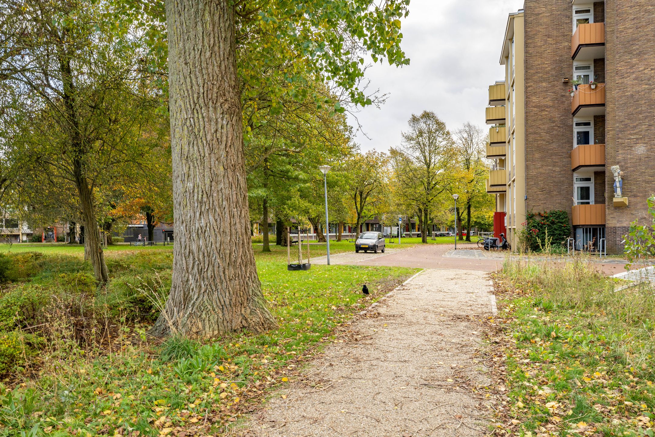 Foto 21 van Paramaribostraat 78