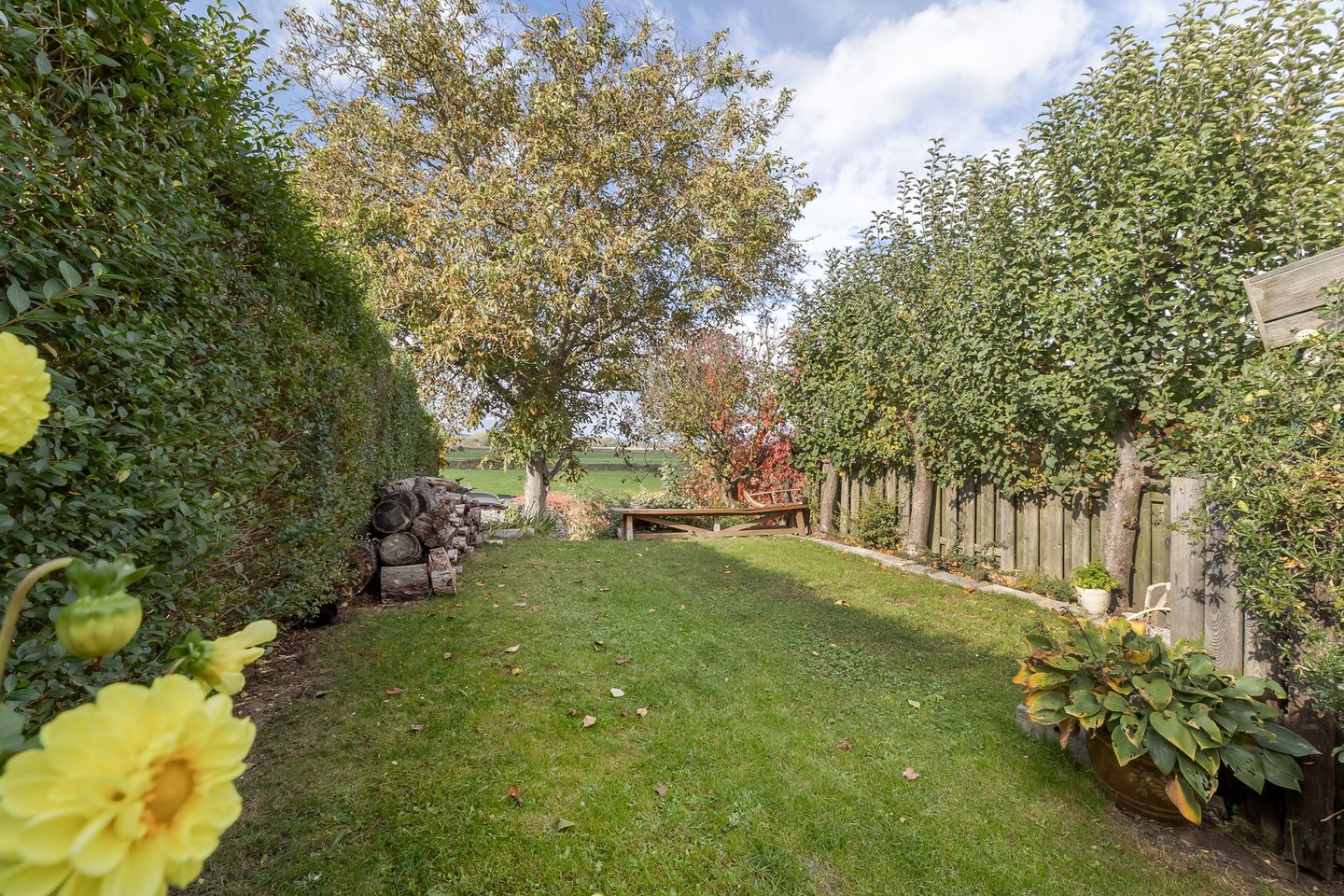 Foto 35 van Raadhuisstraat 27