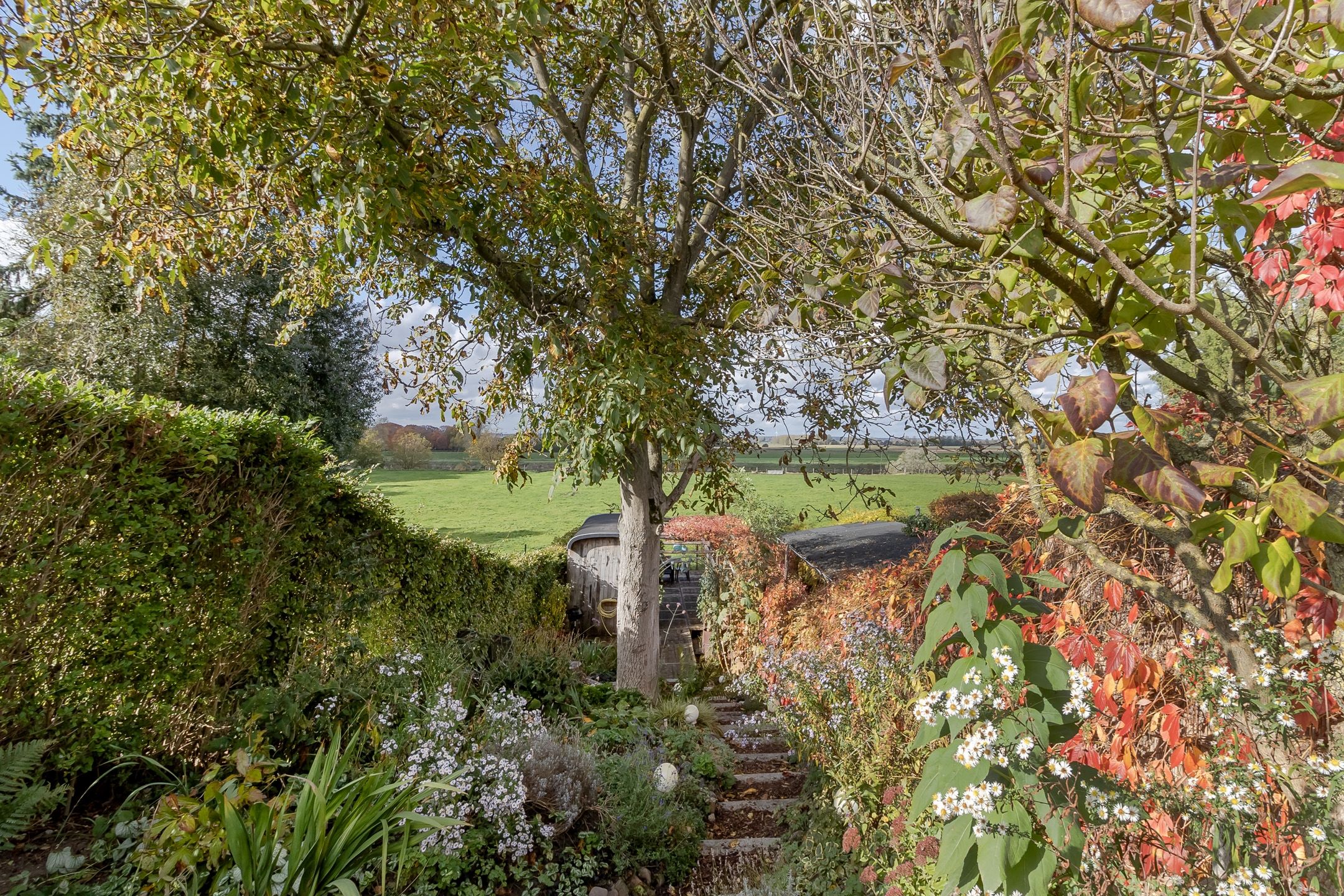 Foto 36 van Raadhuisstraat 27