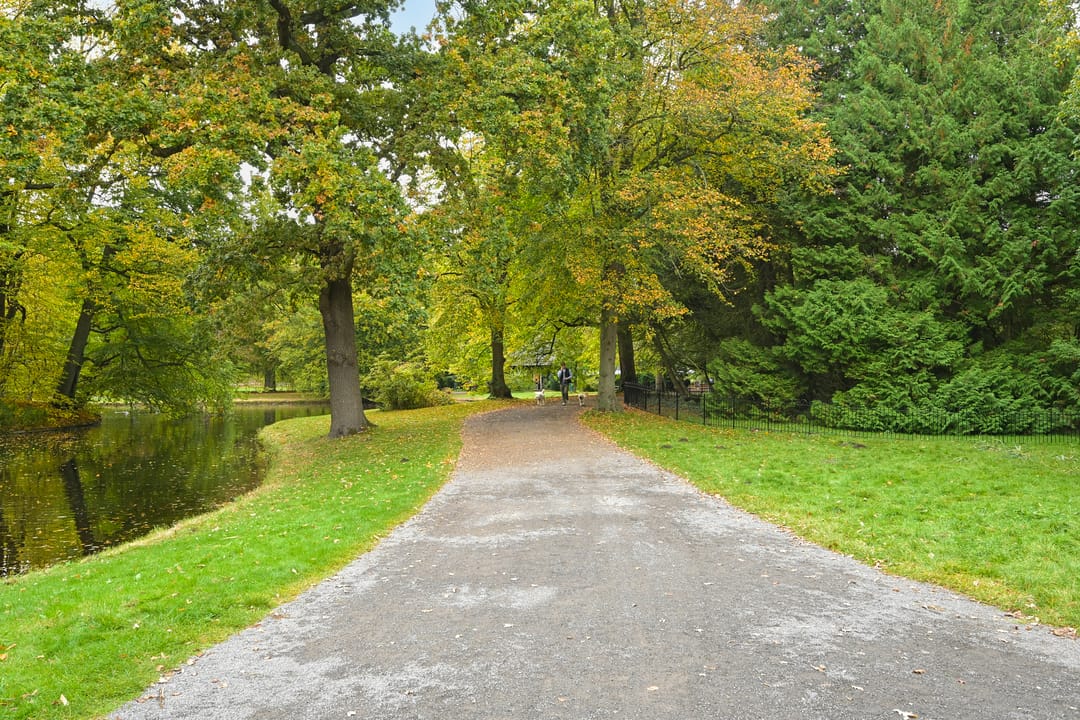 Foto 23 van Breitnerlaan 440