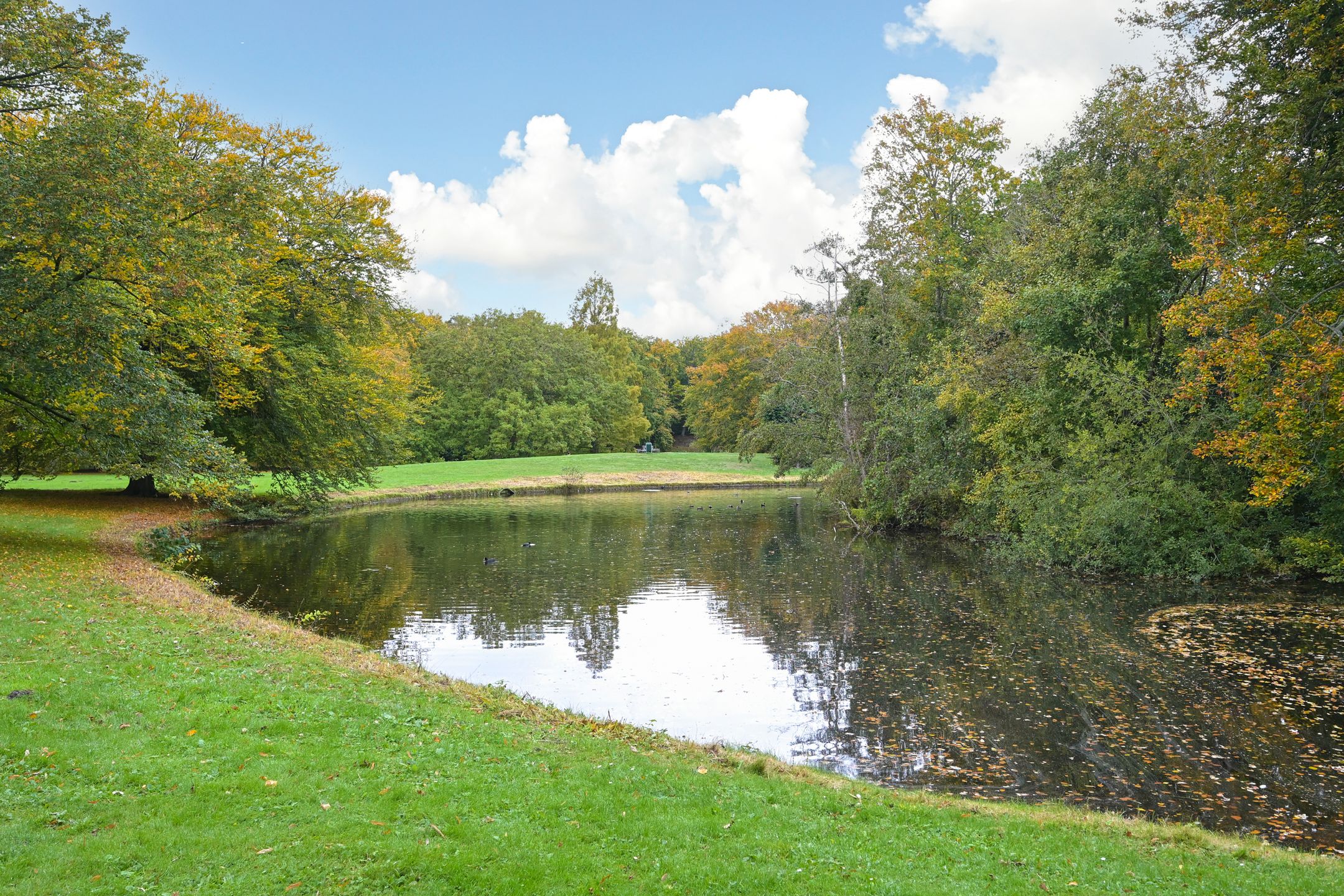 Foto 24 van Breitnerlaan 440