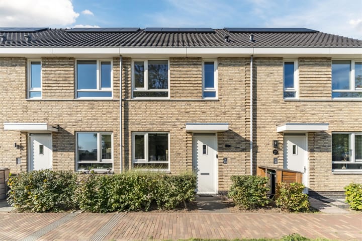 Foto 1 van Vuurijzer 89