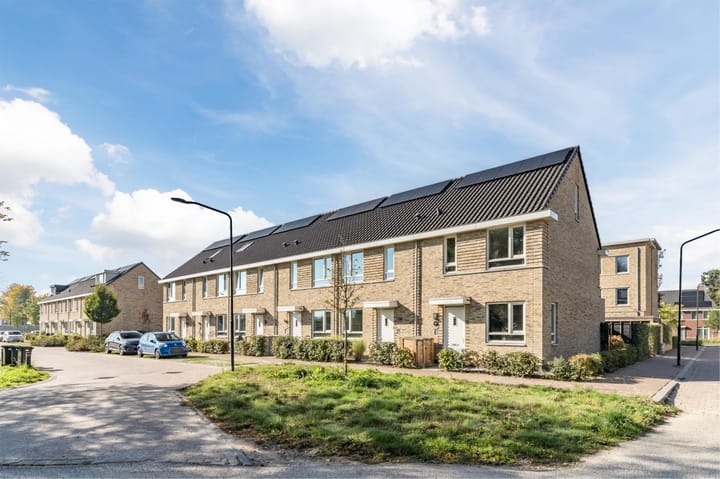 Foto 2 van Vuurijzer 89