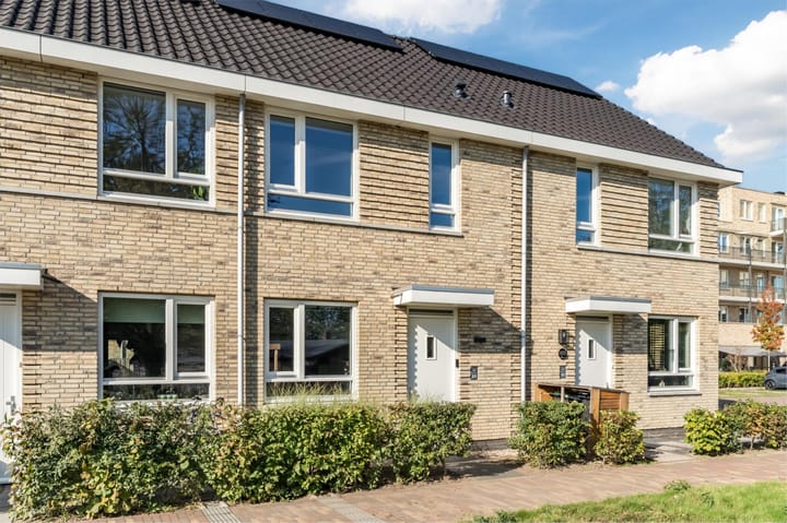 Foto 55 van Vuurijzer 89