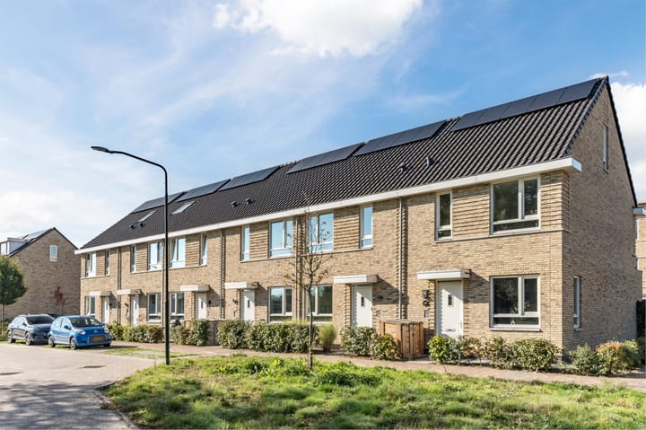 Foto 56 van Vuurijzer 89