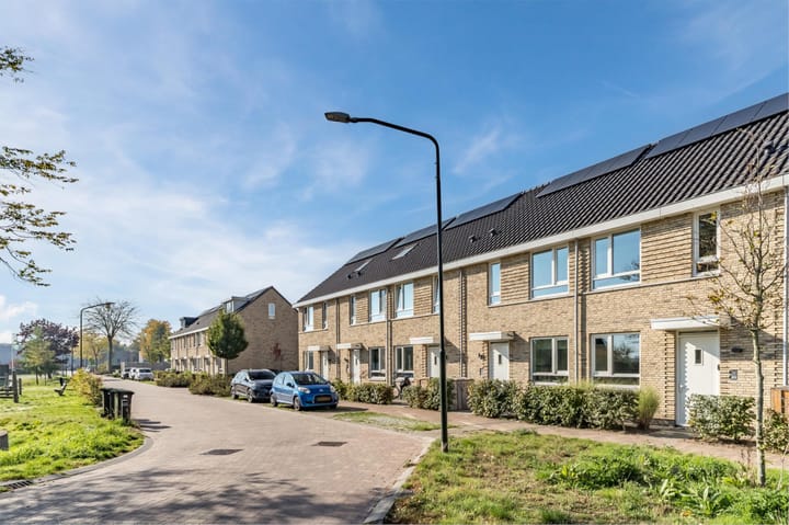 Foto 57 van Vuurijzer 89