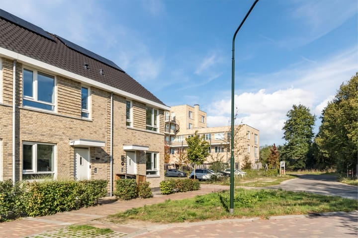 Foto 60 van Vuurijzer 89