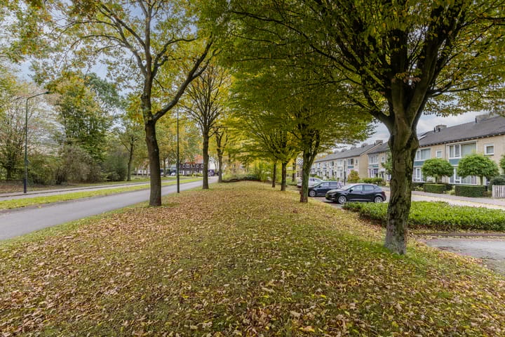 Foto 34 van Lucas van Leijdenstraat 6