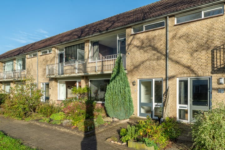 Photo 2 of Easter Omwei 29