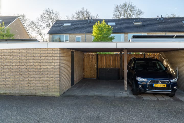 Photo 7 of Easter Omwei 29