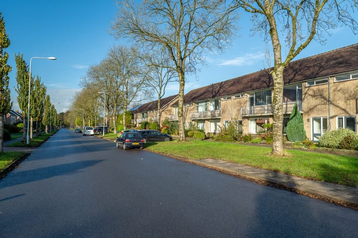 Photo 9 of Easter Omwei 29