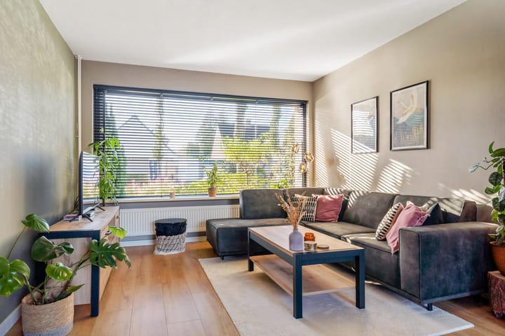 Photo 10 of Easter Omwei 29