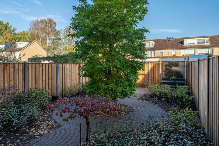 Photo 37 of Easter Omwei 29