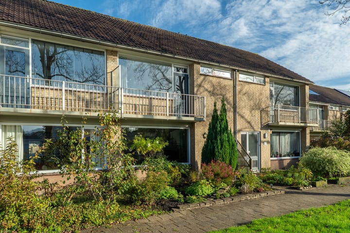 Photo 40 of Easter Omwei 29