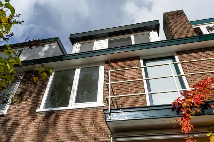 Photo 48 of Witte de Withstraat 29