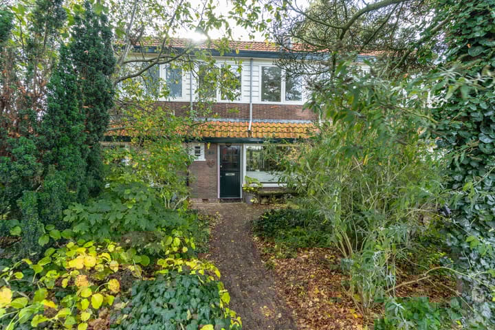 Photo 51 of Witte de Withstraat 29