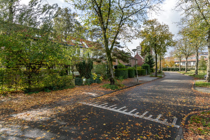 Photo 53 of Witte de Withstraat 29