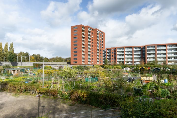 Photo 55 of Witte de Withstraat 29