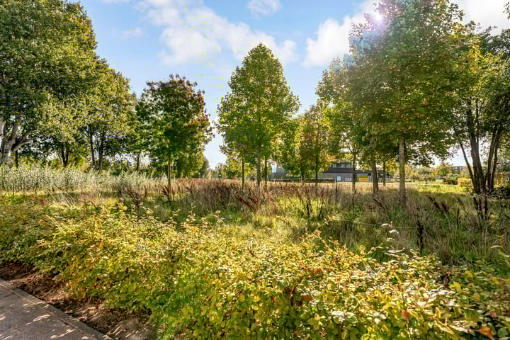 Foto 56 van Esselaar 82