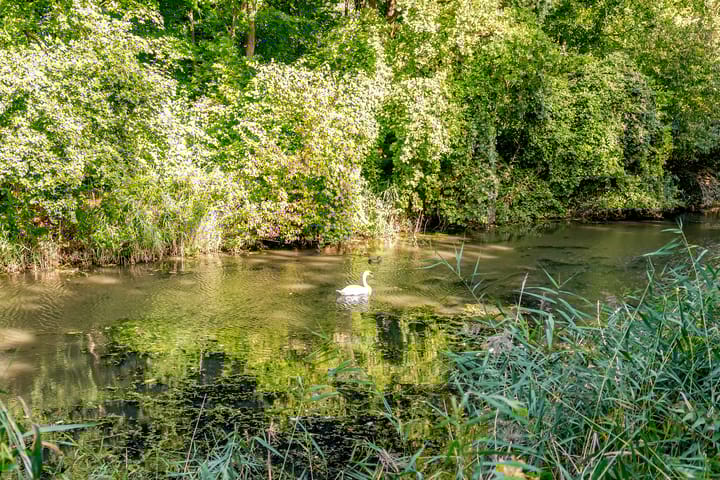 Foto 58 van Esselaar 82