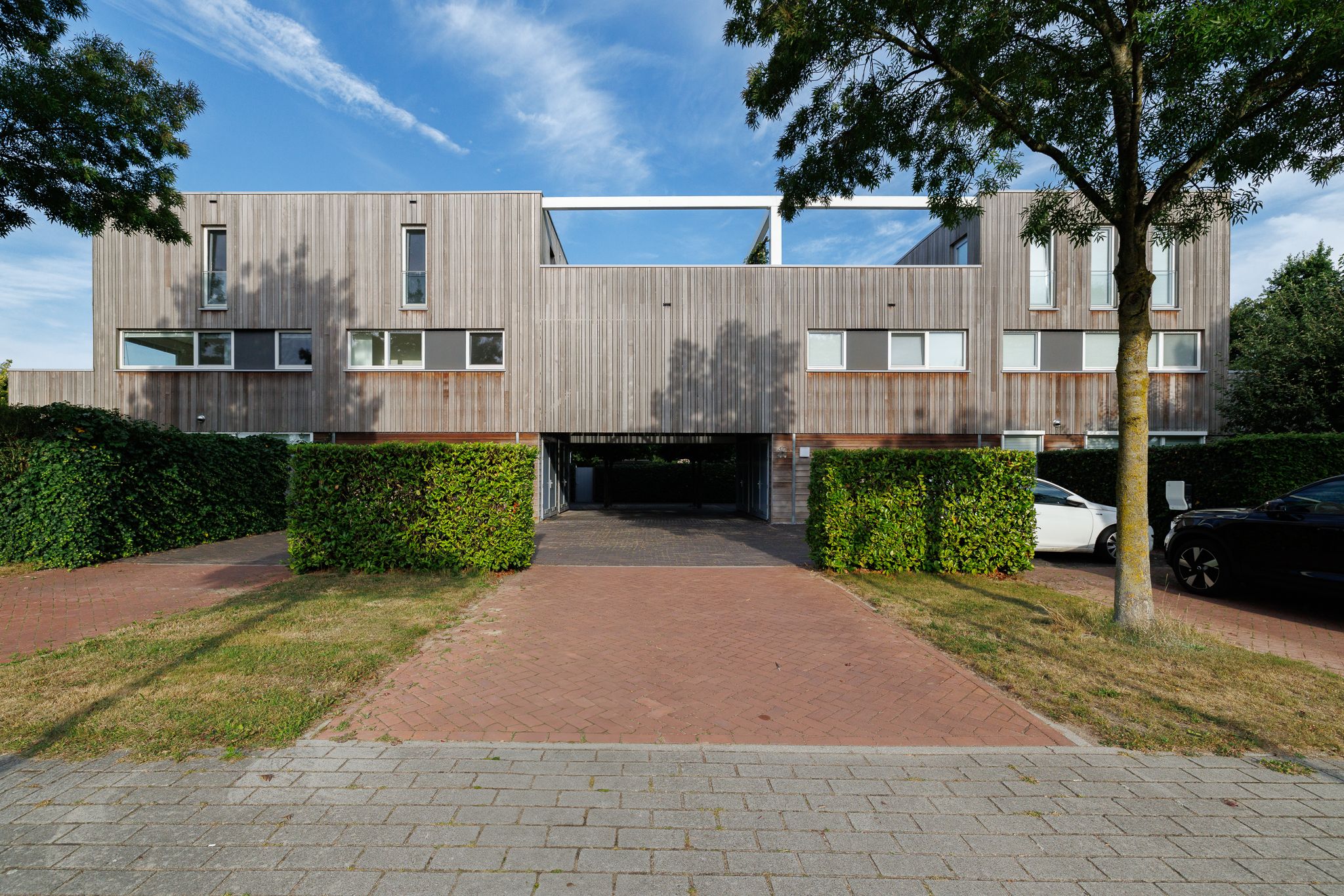 Photo 9 of Stamerbos 46